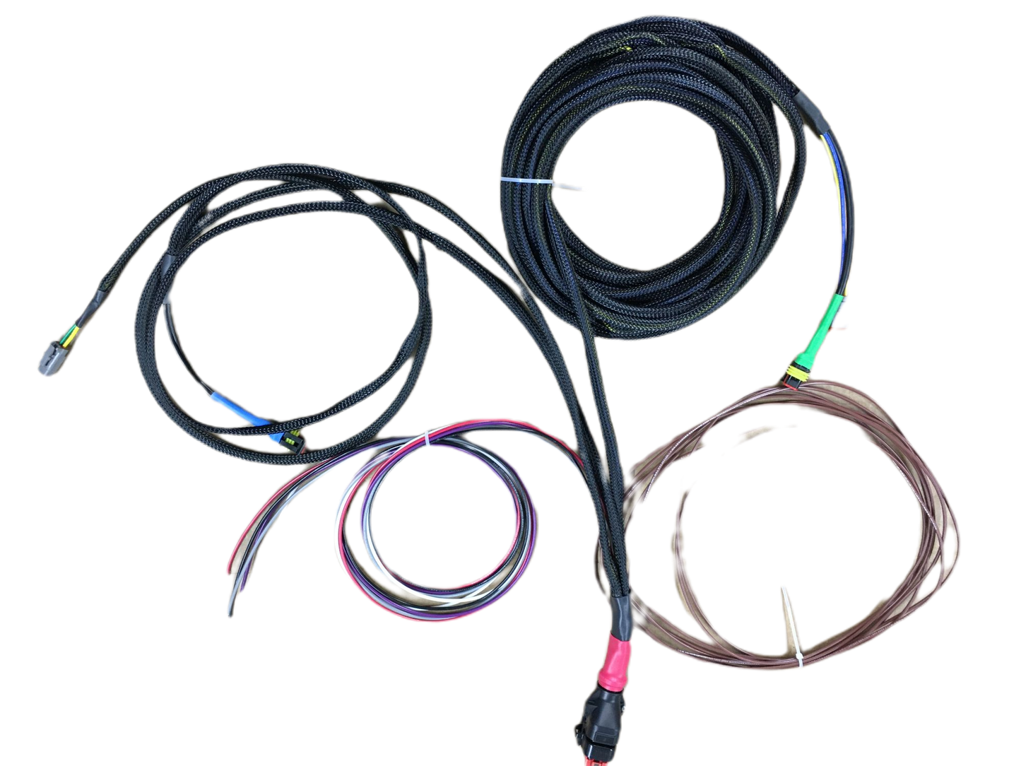 WS500 Regulator Harness wiring for van and RV installations with extended ignition and alternator legs