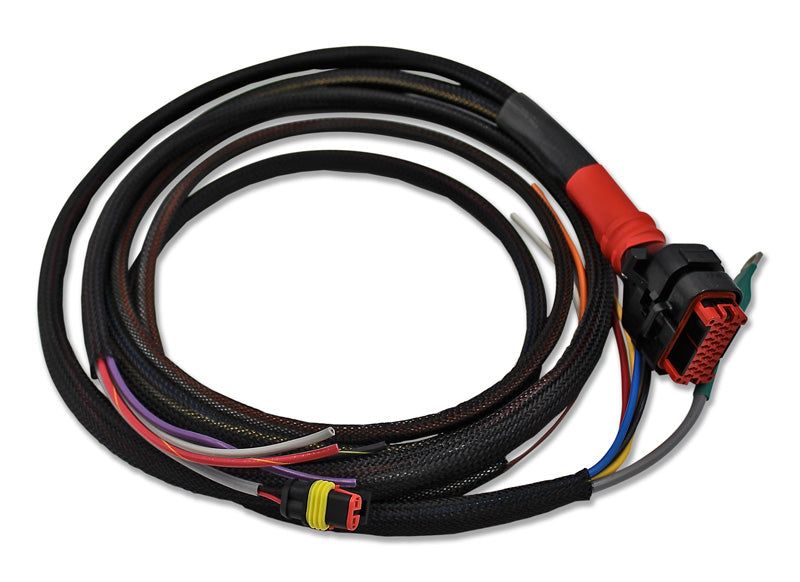 Wiring harness for WS500 alternator regulator with multiple colored wires and connectors