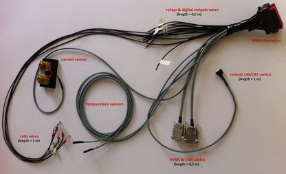 REC Active BMS Wiring Harness